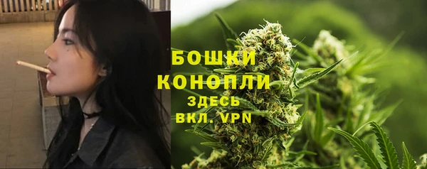 стафф Аркадак