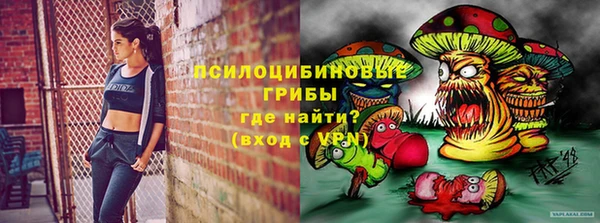 стафф Аркадак