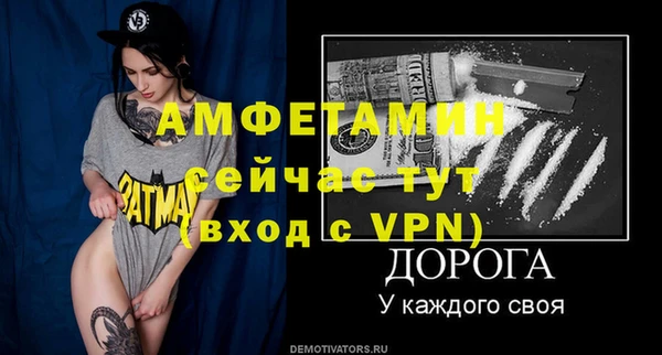 стафф Аркадак