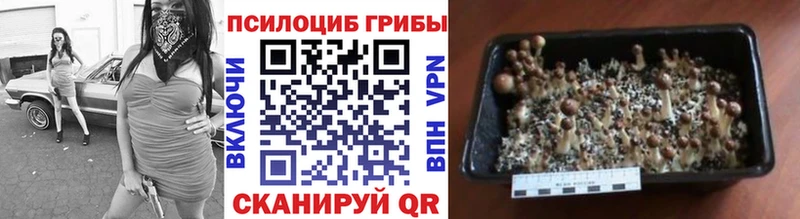 Галлюциногенные грибы MAGIC MUSHROOMS  Суздаль 
